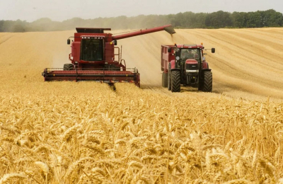 Gobierno prepara medidas para contener los efectos de la sequía