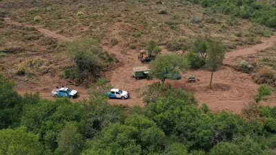 No hay que hacer política con los bosques