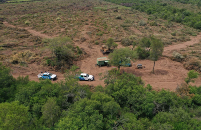 No hay que hacer política con los bosques