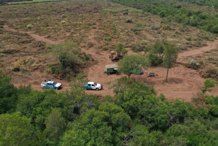 Bosques-controla-fiscaliza.jpg
