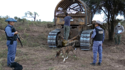 Frenan el desmonte ilegal de tres topadoras