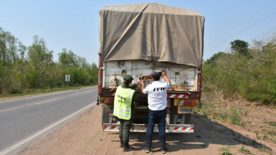 El contrabando de materias primas genera alta evasión en el norte