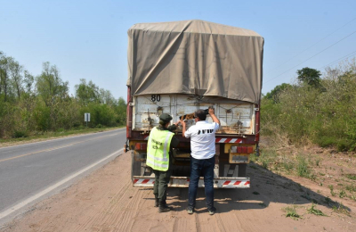 El contrabando de materias primas genera alta evasión en el norte