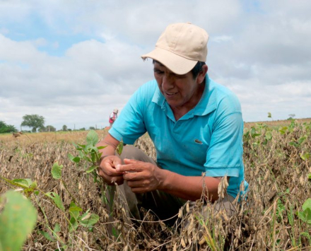 productores.jpg