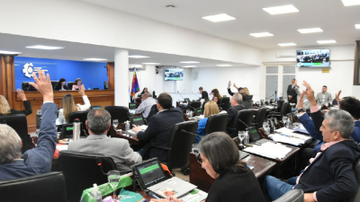 El Presupuesto inicia el camino hacia la sanción y semana clave por el veto sanitario