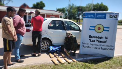 El can "Olivia" detectó ocho paquetes con marihuana