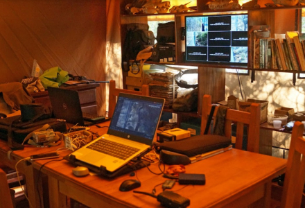 biodiversidad4.jpg