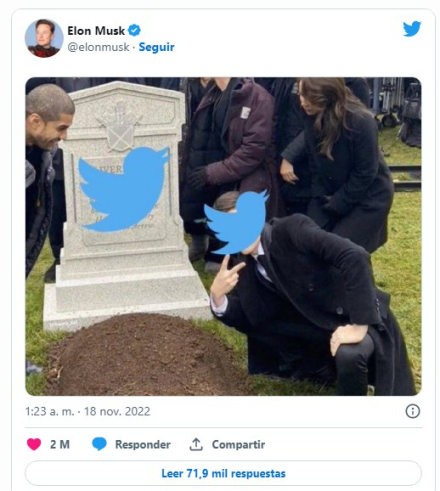 elon.jpg