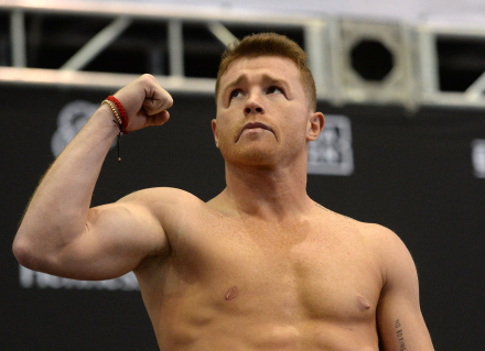 CANELO.JPG