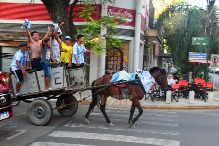 caballo11.jpg