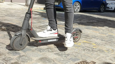 zapa.jpg
