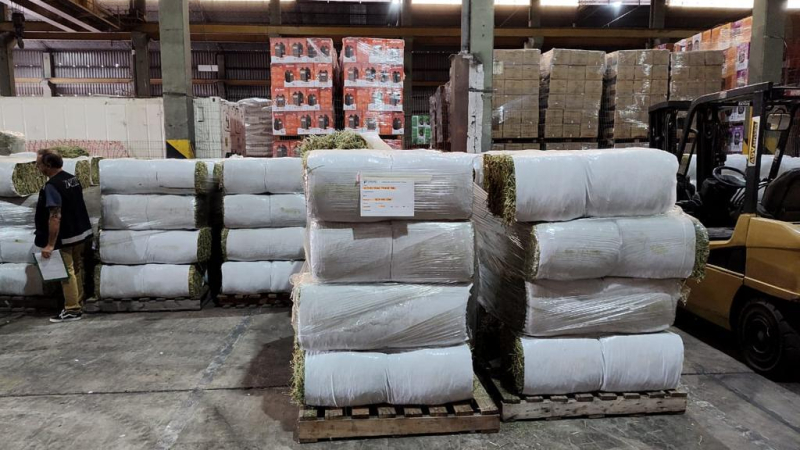 Alfalfa Mundial: sale la primera exportación desde el interior chaqueño rumbo a Qatar 