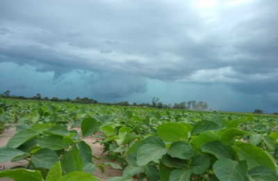 Desde este fin de semana llegan las lluvias, pero con acumulados inferiores a los normales