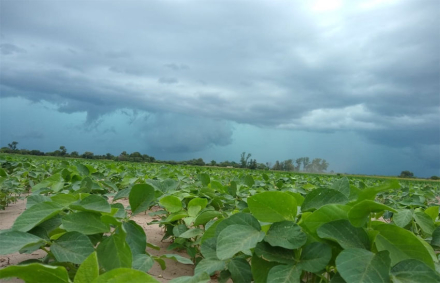lluvias.jpg