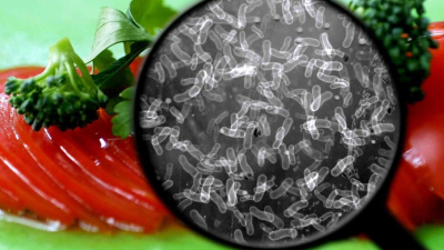 Shigella y salmonella: autoridades sanitarias explican cómo evitar las bacterias