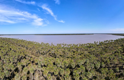 Laguna El Palmar: Chaco se alista para su tercer parque nacional