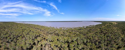 elpalmar3.jpg
