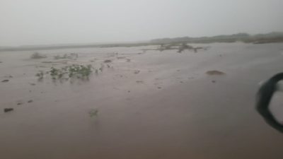Abundante lluvia en General San Martín: los registros alcanzaron los 100 milímetros
