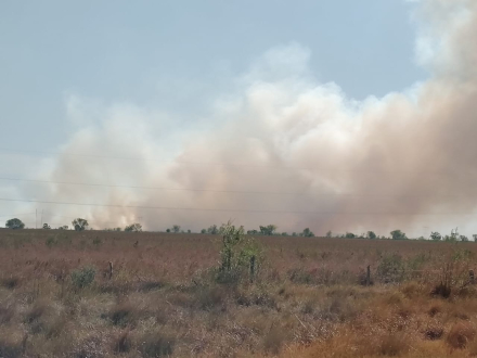 humo Ctes 5.jfif