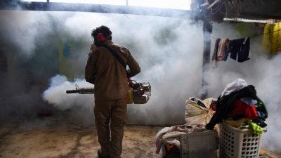 Se registra circulación viral de dengue en 6 jurisdicciones y de chikungunya en una
