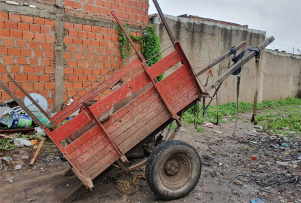 carro.jpg