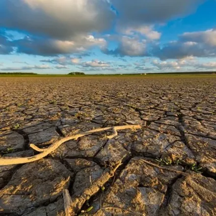 dia mundial clima 2.jpg