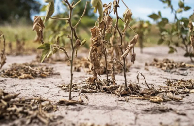 El gobierno oficializó tres beneficios para productores afectados por la sequía