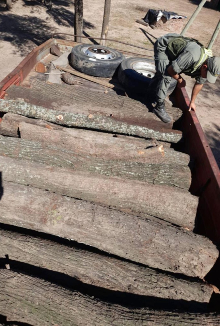 thumbnail_Intentó huir con 7.500 kilos de troncos de algarrobo (1).jpg