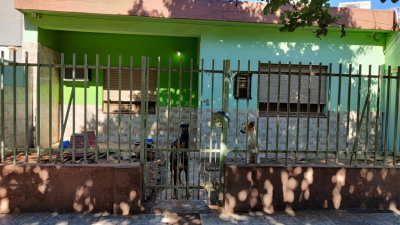 La jueza Cortés solicita adoptantes para los perros del rescatista denunciado por vecinos