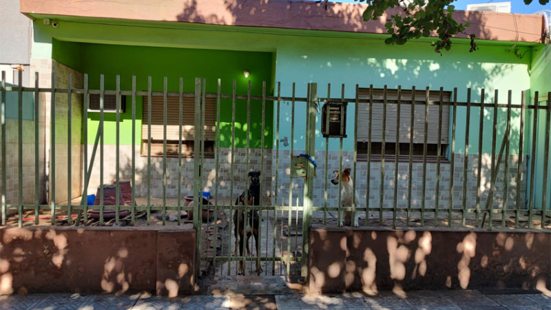 La jueza Cortés solicita adoptantes para los perros del rescatista denunciado por vecinos