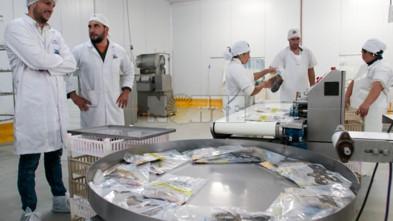 Grupo Puerto Las Palmas: del conflicto que amenazaba su actividad a un modelo empresario exitoso