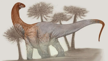 Chucarosaurus.jpg