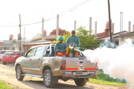 zz resistencia fumigacion 02.jpeg