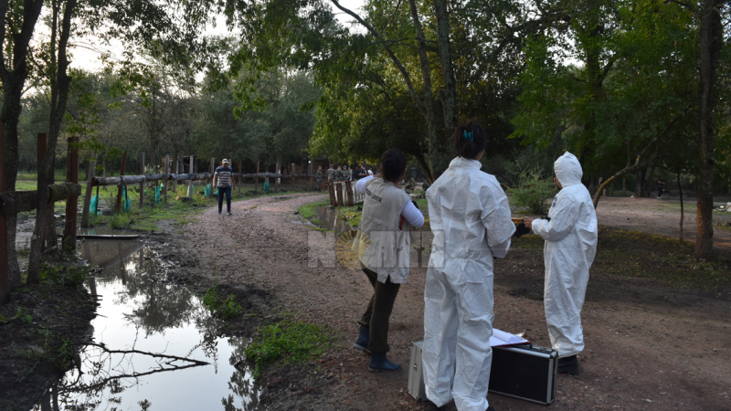 En los rastrillajes se reunieron varias bolsas de huesos: algunos serían humanos