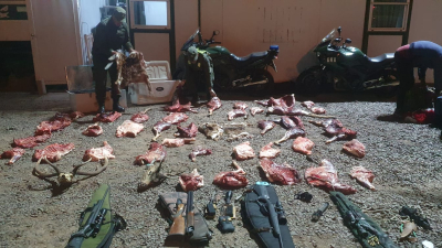 Decomisan en el puente Chaco-Corrientes 235 kilos de animales silvestres