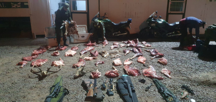 animales.jpg