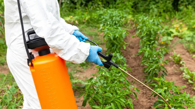 "La prohibición del glifosato provocará el aumento del kilo de yerba"
