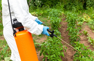 "La prohibición del glifosato provocará el aumento del kilo de yerba"