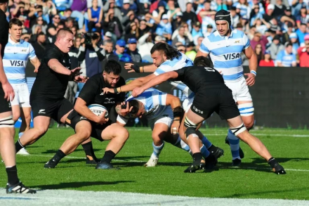 LOSPUMAS.jpg