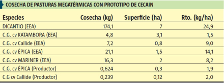 coseha.jpg