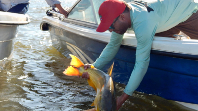 Vuelve la Pesca del Dorado a la Isla del Cerrito