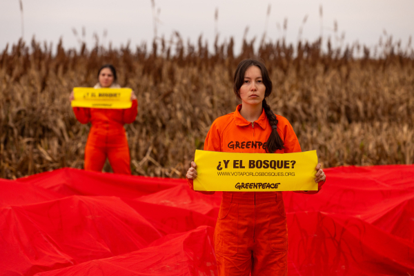 © Sebastian Pani / Greenpeace
