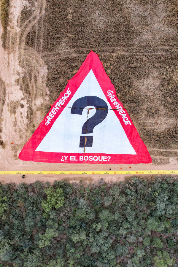 © Martin Katz / Greenpeace
