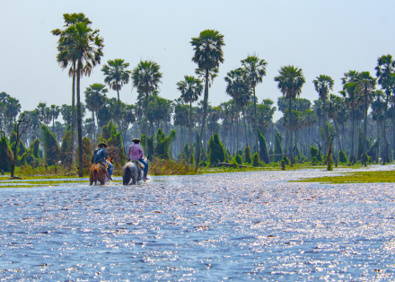 Ruta natural Cabalgata Bañado La Estrella-Formosa -Gran Chaco-Argentina (1).jpg