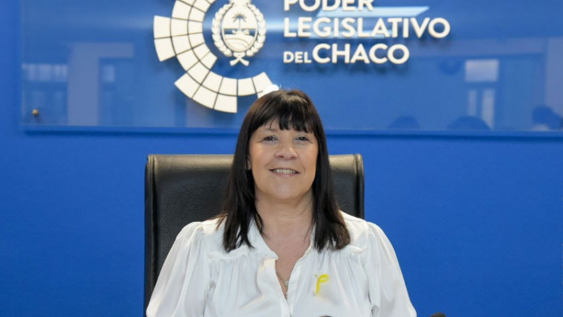 Cuesta propone un pase libre en el transporte para víctimas de violencia de género