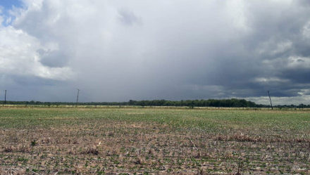 lluvia.jpg