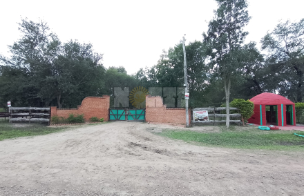 campo de sena .JPG