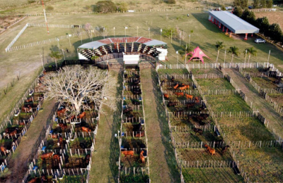 Hoy se hará el 20° Gran Remate de Cabaña Caá Cupé 2023