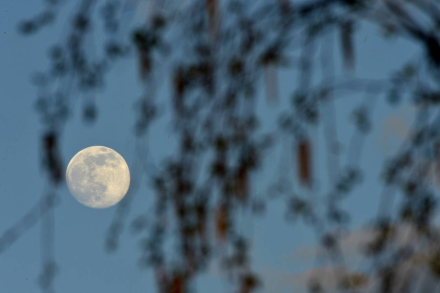 superluna_76a9a7cf_230826152131_1280x852.jpg