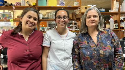 Harina de sorgo del NEA permite avances para tratar la diabetes
